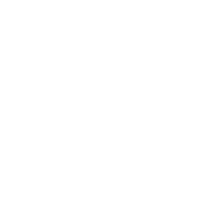 Shapes