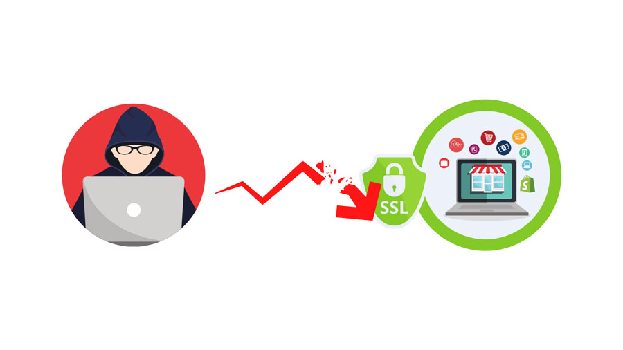 How to enable ssl on Shopify