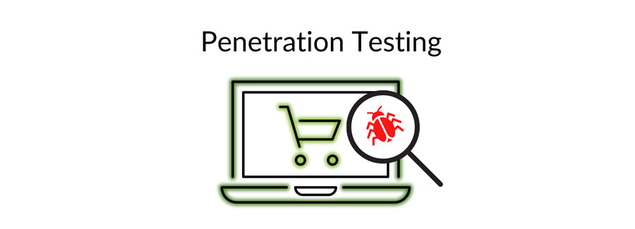 Penetration-test-security testing for eCommerce websites