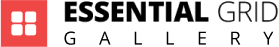 Essential Grid