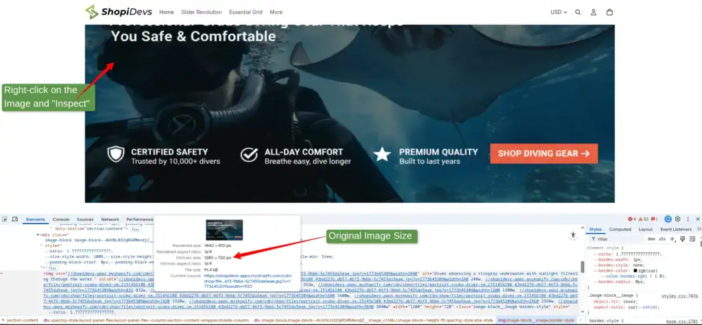 how to view the correct image size in shopify
