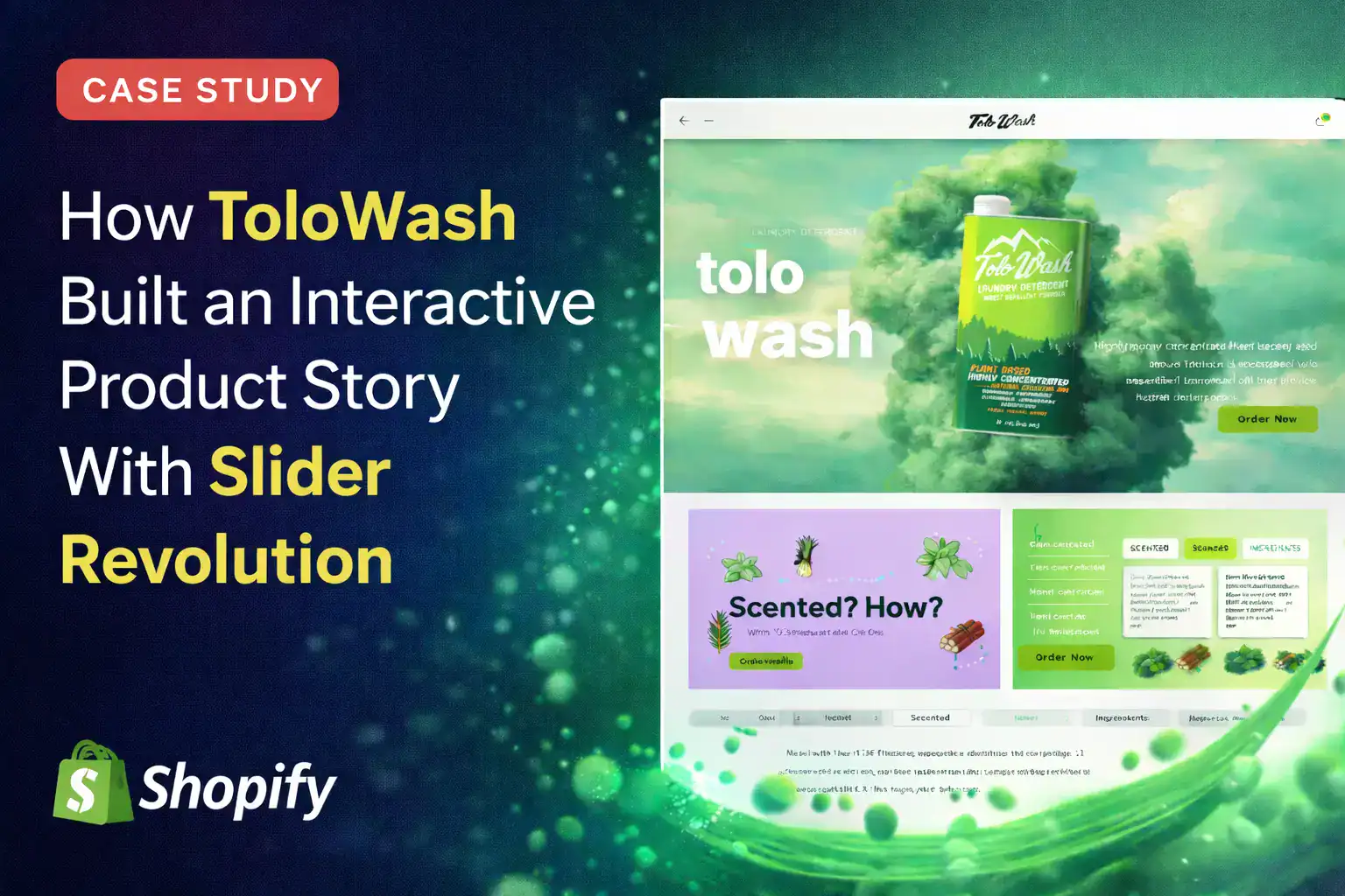 tolo wash case study